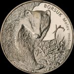 Animals of the World – European Badger (Meles meles)